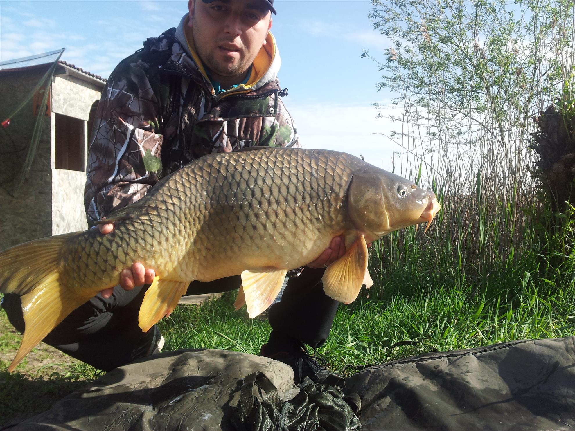 Album - 20140426091510.jpg